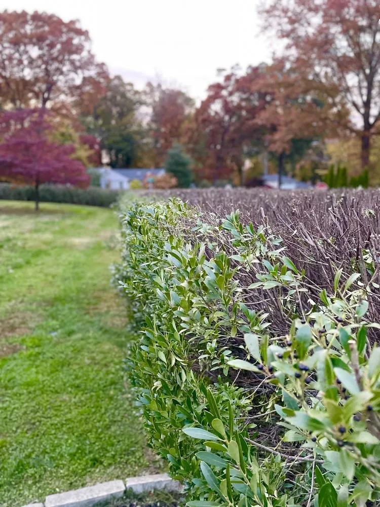 Affordable garden landscaping in Danbury, CT - Xplus Tree Service