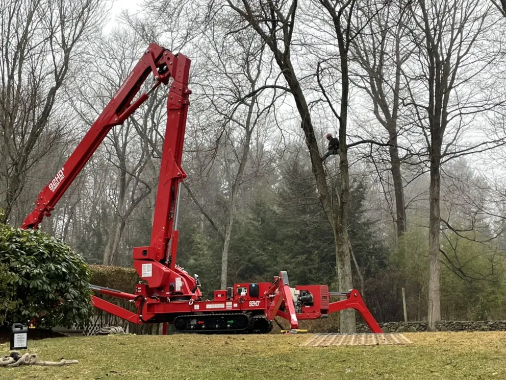 Custom yard maintenance for homes across Danbury, CT - Xplus Tree Service