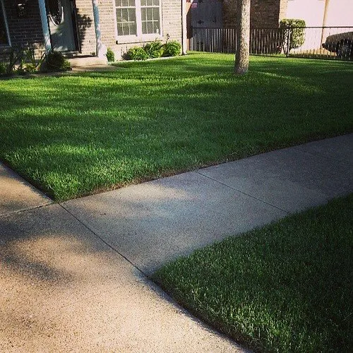 Expert yard cleanup service for year-round maintenance across Arlington, TX - Xpress Lawn Care & Landscaping