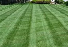 Reliable yard maintenance in Arlington, TX - Xpress Lawn Care & Landscaping
