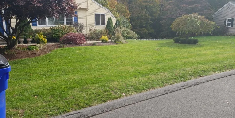 Affordable yard maintenance for year-round maintenance in Newington, CT by Xpress Lawn Care