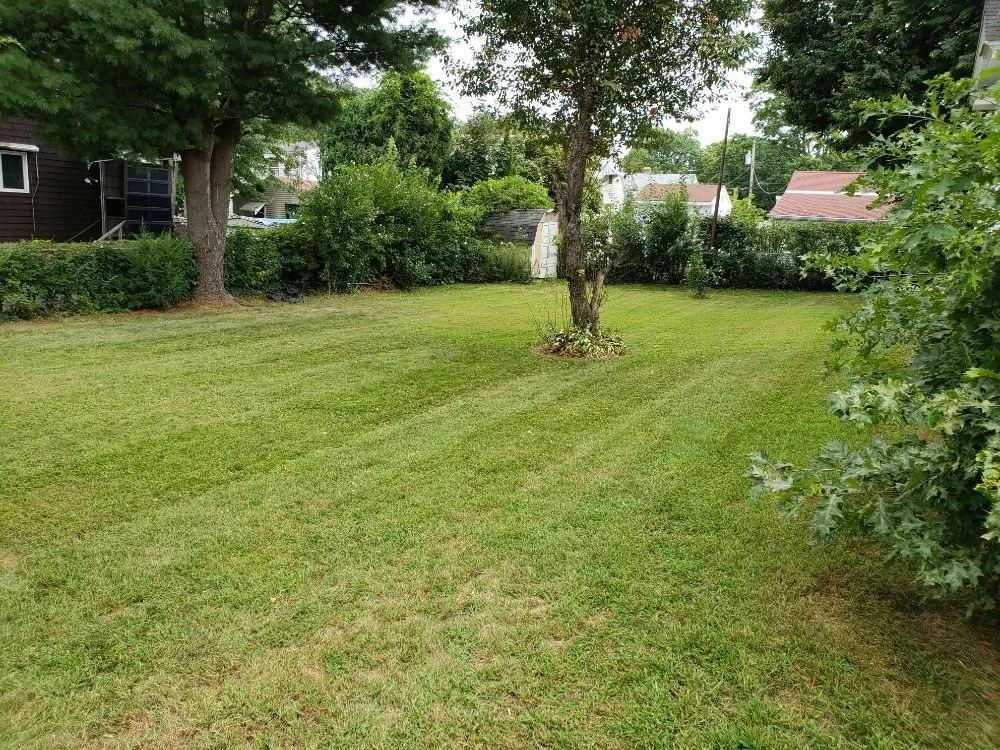Reliable lawn mowing service in Newington, CT - Xpress Lawn Care