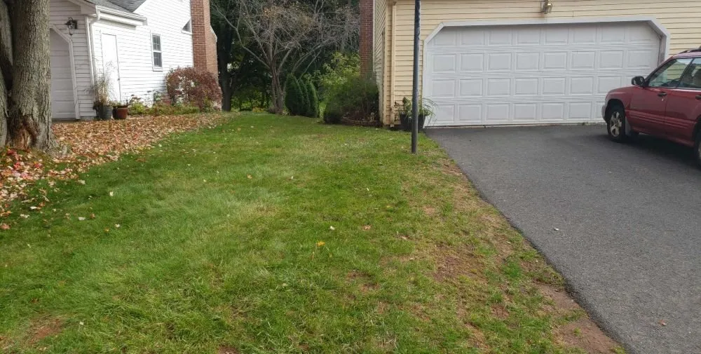 Custom yard cleanup service experts serving Newington, CT - Xpress Lawn Care