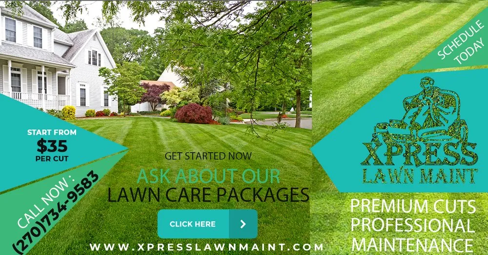 Expert yard cleanup service in Elizabethtown, KY - Xpress Lawn Maintenance