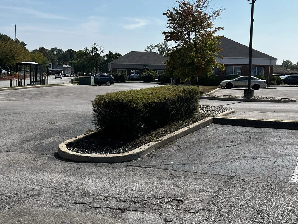 Reliable landscaping services in Caseyville, IL by Xpress Lawn Solutions