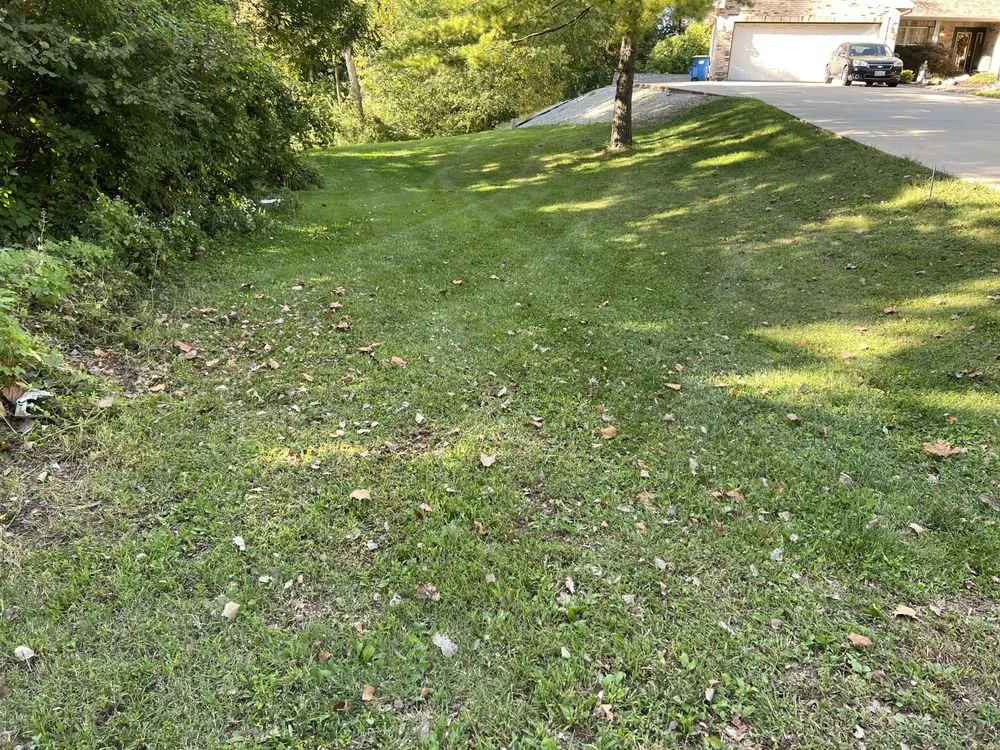 Local yard cleanup service in Caseyville, IL by Xpress Lawn Solutions