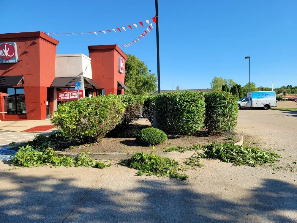 Trusted lawn mowing service for year-round maintenance across Caseyville, IL - Xpress Lawn Solutions