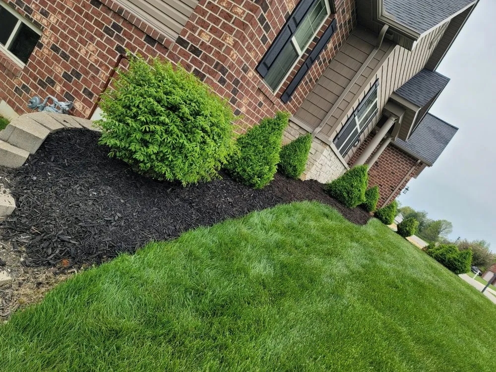 Custom residential landscaping in Caseyville, IL by Xpress Lawn Solutions