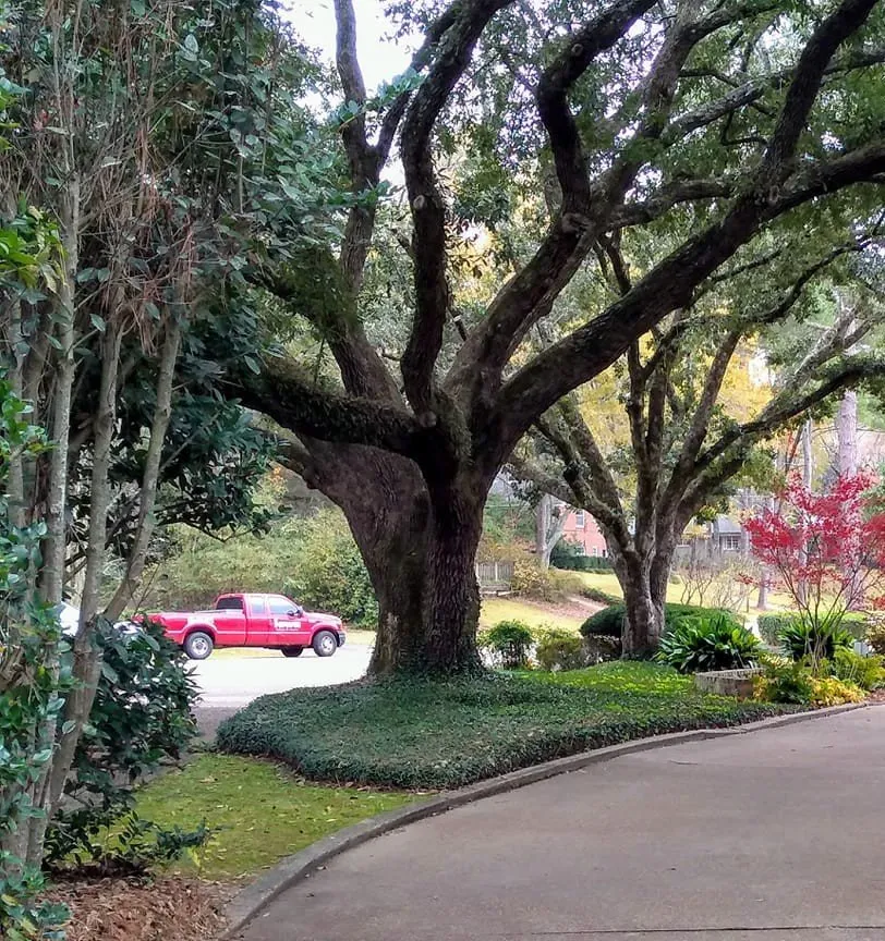 Local residential landscaping in Pearl, MS by Xpressive Lawn & Landscape