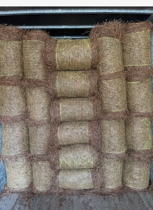 Local landscape design in Pearl, MS by Xpressive Lawn & Landscape