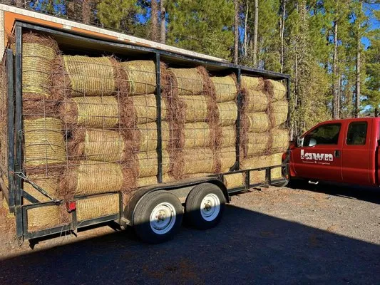 Xpressive Lawn & Landscape Logo