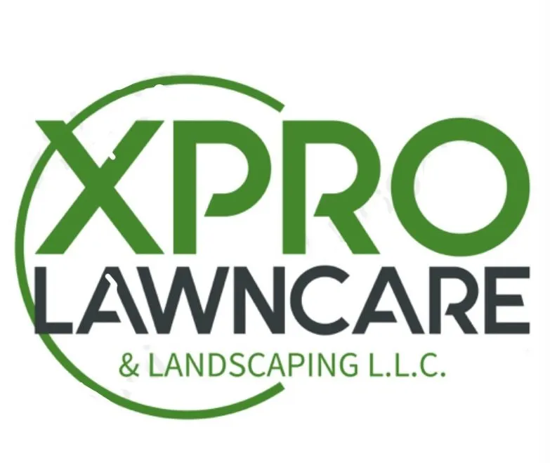 Expert yard maintenance for outdoor upgrades in Mount Sterling, KY by Xpro Lawncare and Landscaping