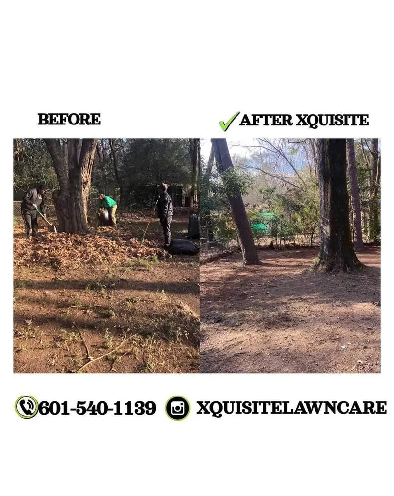 Trusted yard cleanup service experts serving Jackson, MS - Xquisite Lawncare