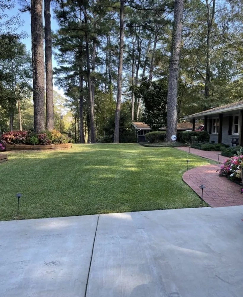 Affordable landscaping services for year-round maintenance in Jackson, MS by Xquisite Lawncare