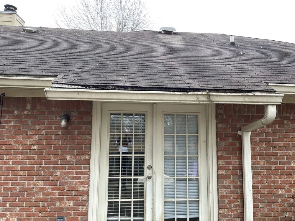 Custom lawn mowing service in Jackson, MS - Xquisite Lawncare