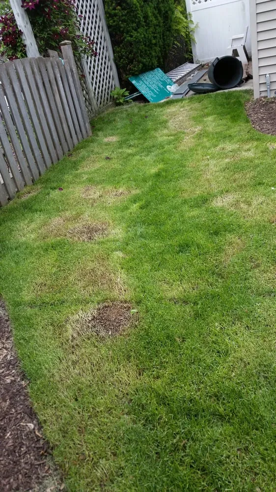 Custom landscaping services experts serving Lyons, IL - XS Kevin's Landscaping Service & Snow Removal