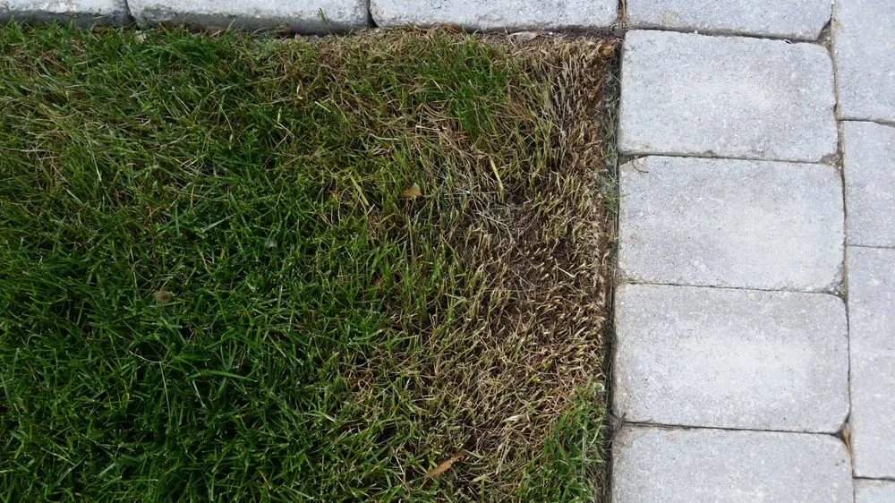 Reliable yard maintenance for homes in Lyons, IL by XS Kevin's Landscaping Service & Snow Removal