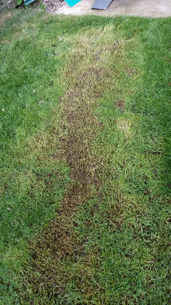 Custom outdoor landscaping near you across Lyons, IL - XS Kevin's Landscaping Service & Snow Removal