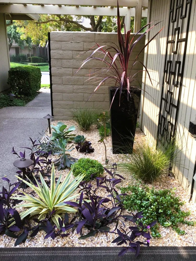 Local yard cleanup service experts serving Shingle Springs, CA - Xscape Gardens