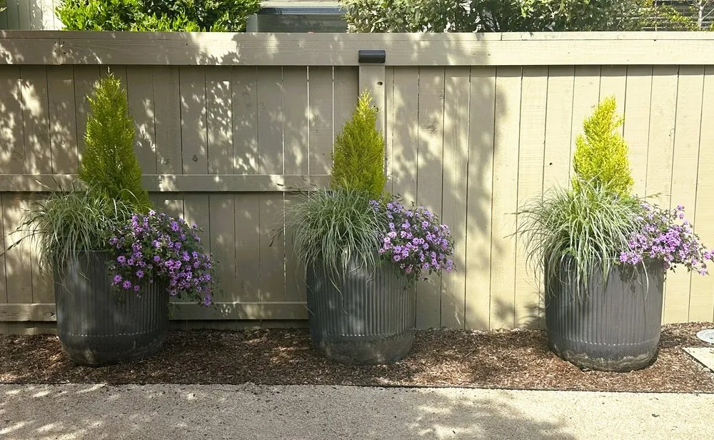 Custom yard maintenance for residential properties in Shingle Springs, CA by Xscape Gardens
