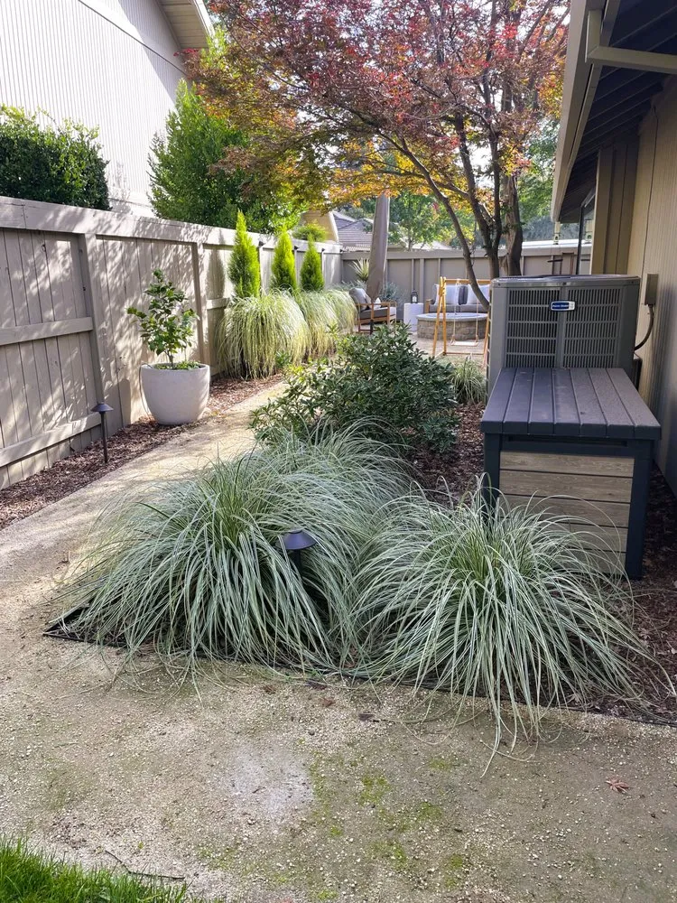 Expert residential landscaping in Shingle Springs, CA - Xscape Gardens