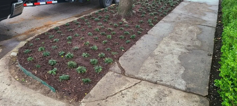 Local landscape installation in Garland, TX by Xscapes Irrigation and Landscapes