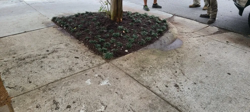 Local lawn care service in Garland, TX by Xscapes Irrigation and Landscapes