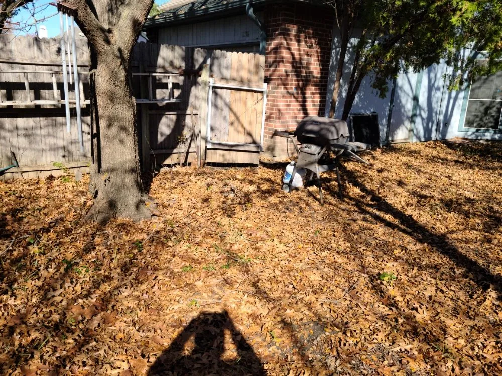 Professional outdoor landscaping for beautiful yards across Garland, TX - Xscapes Irrigation and Landscapes