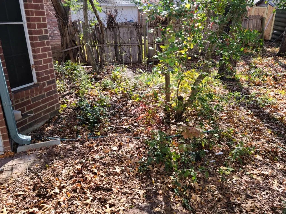 Top-rated yard maintenance experts serving Garland, TX - Xscapes Irrigation and Landscapes