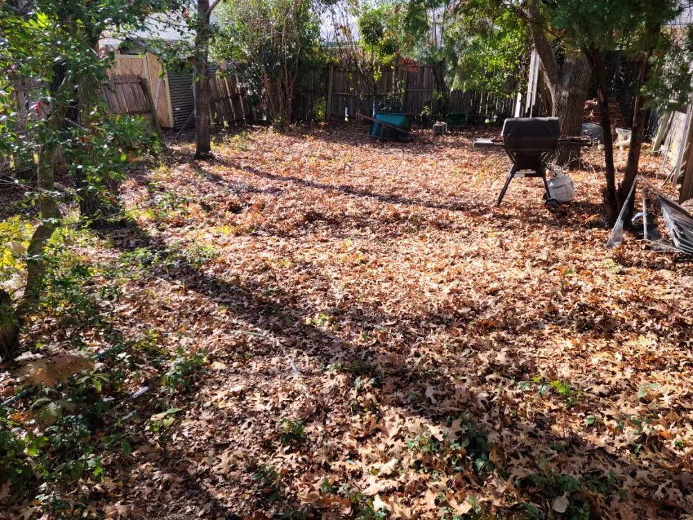 Affordable lawn care service for year-round maintenance across Garland, TX - Xscapes Irrigation and Landscapes