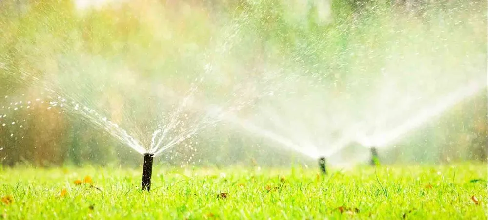 Reliable lawn care service experts serving Garland, TX - Xscapes Irrigation and Landscapes
