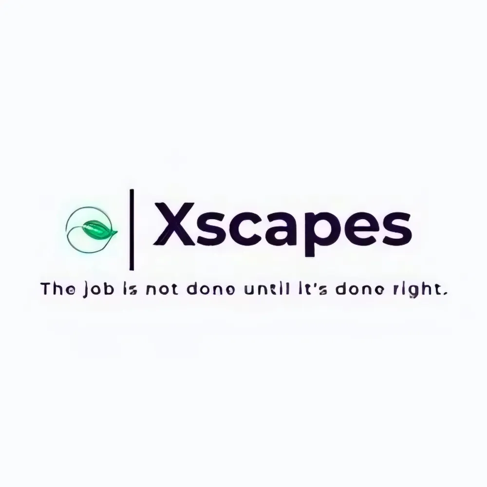 Affordable yard cleanup service for beautiful yards in Omaha, NE by Xscapes Landscaping