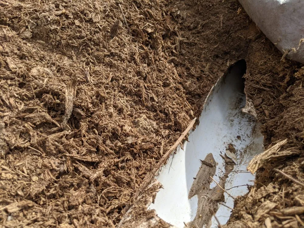 Trusted residential landscaping in Plano, TX - Xscaping