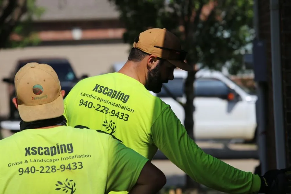 Top-rated landscape installation experts serving Plano, TX - Xscaping