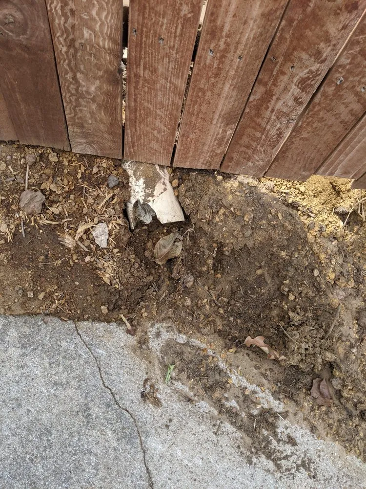 Expert landscaping services for outdoor upgrades in Plano, TX by Xscaping