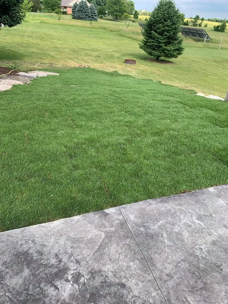 Affordable yard cleanup service near you in Atlanta, GA by Xsite Sod Pros