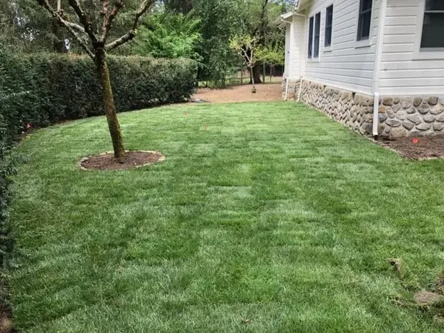 Reliable yard maintenance experts serving Atlanta, GA - Xsite Sod Pros