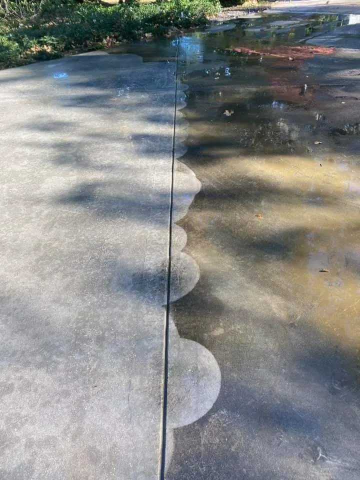 Affordable yard cleanup service for homes in Jacksonville, FL by Xterior Care Professionals