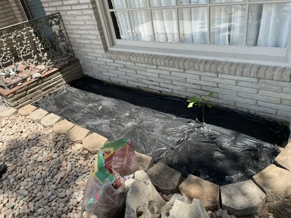 Affordable lawn mowing service experts serving Webb City, MO - Xterior Lawn Care and More