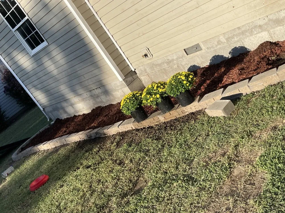 Affordable yard cleanup service in Webb City, MO by Xterior Lawn Care and More