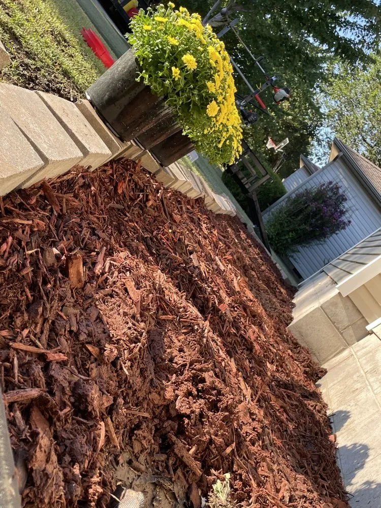 Top-rated lawn care service experts serving Webb City, MO - Xterior Lawn Care and More