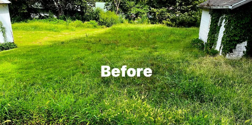 Professional landscape design experts serving Webb City, MO - Xterior Lawn Care and More