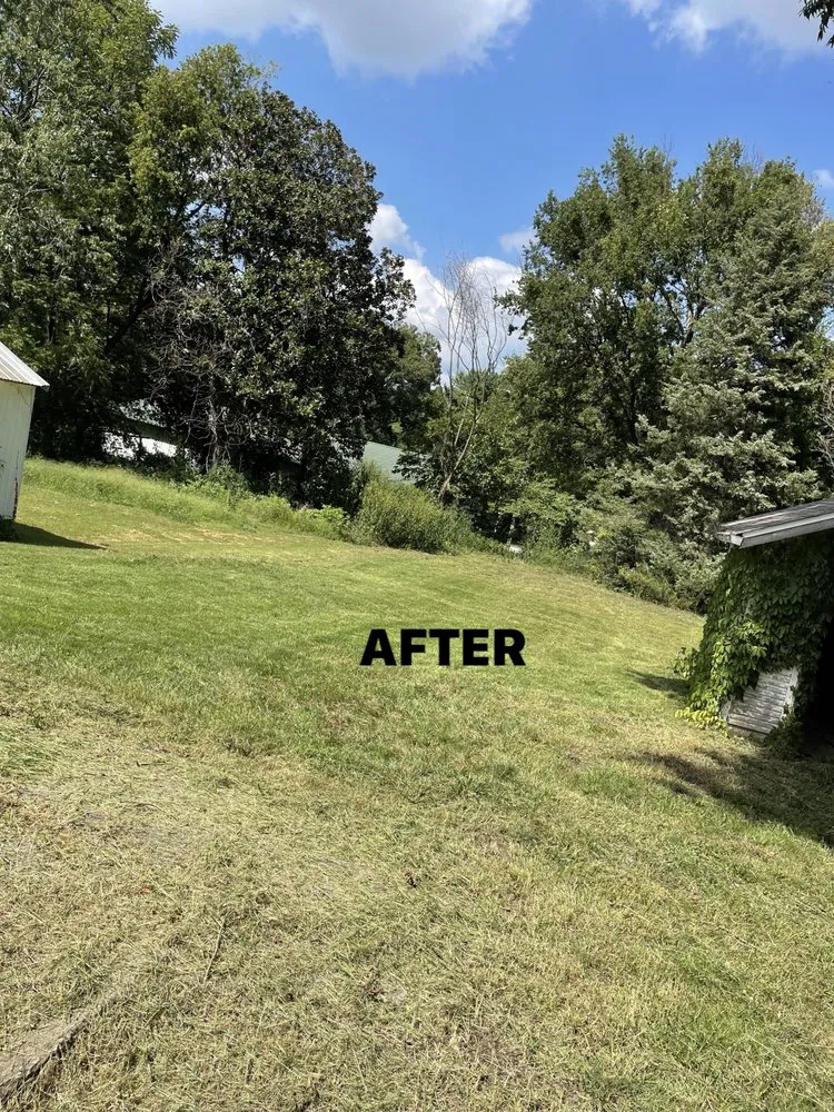 Expert landscaping services in Webb City, MO by Xterior Lawn Care and More