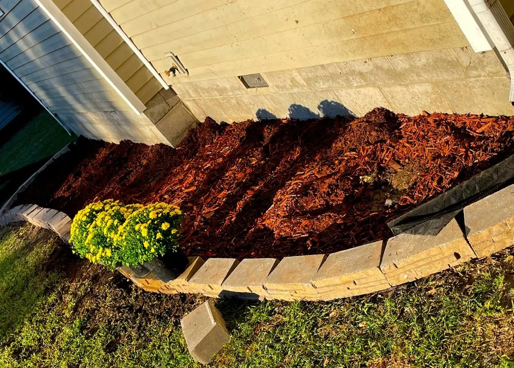 Top-rated yard cleanup service for year-round maintenance in Webb City, MO by Xterior Lawn Care and More