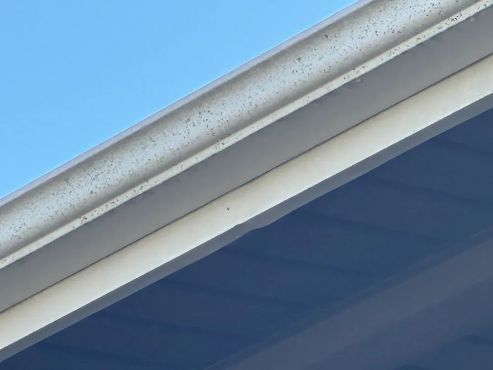 Local landscape installation in Glasgow, KY - Xterior Pro