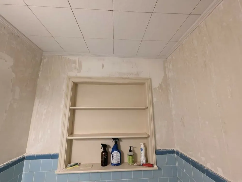 Expert lawn care service in New Iberia, LA by Xterior Proz