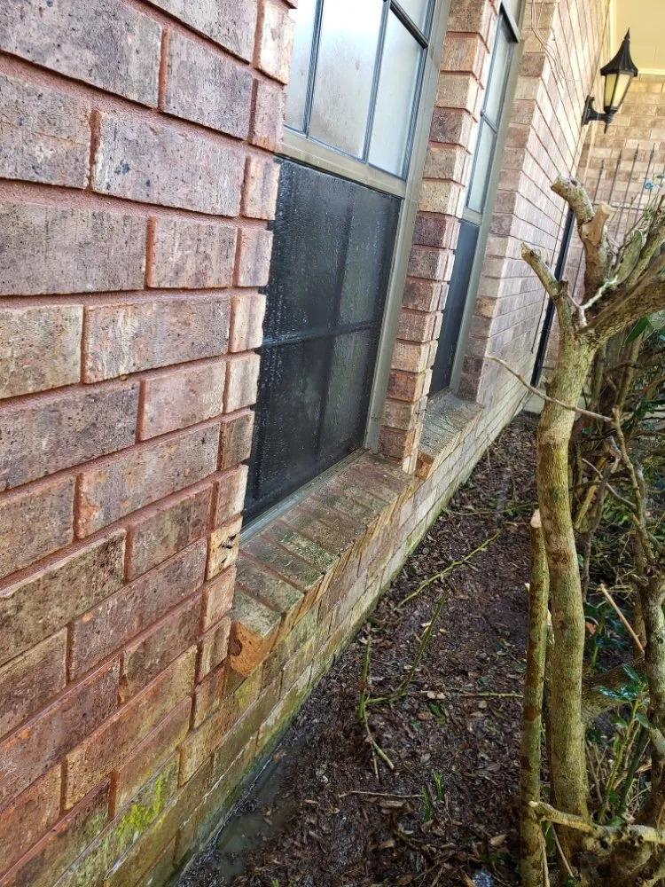 Expert outdoor landscaping for residential properties across New Iberia, LA - Xterior Proz