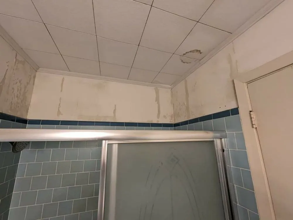 Affordable lawn care service for residential properties in New Iberia, LA by Xterior Proz