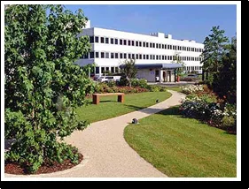 Affordable lawn mowing service for homes in Lawrenceville, GA by Xteriors Landscapes Services