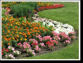 Top-rated yard cleanup service in Lawrenceville, GA by Xteriors Landscapes Services